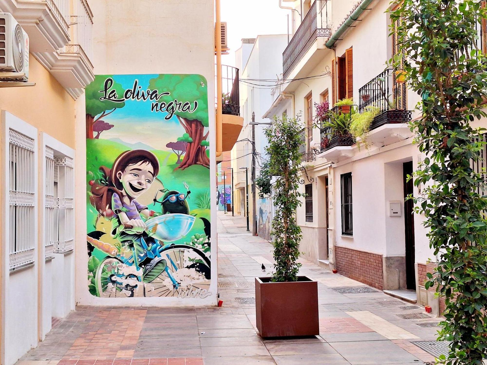 Sunny Centre Flats, 2 Options, With Balcony Or Terrace Málaga